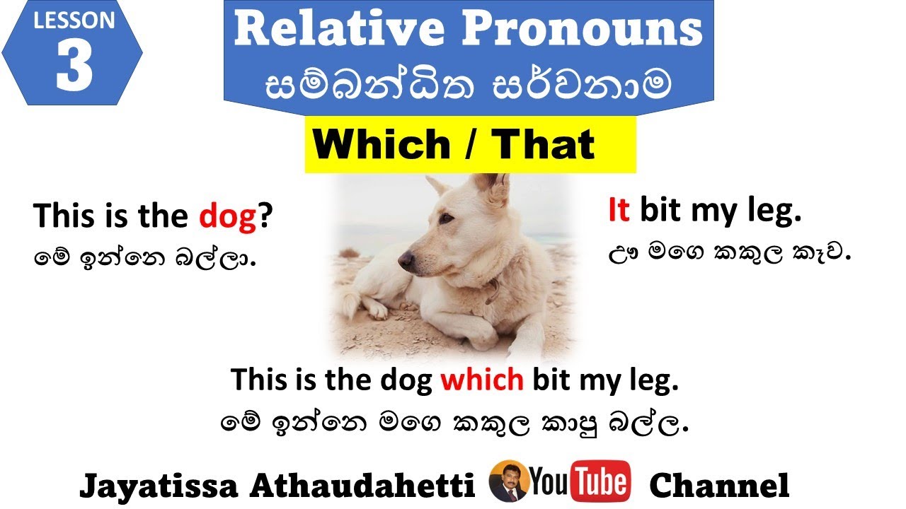 English Grammar #Relative Pronouns 3 Which & That | සරළව සිංහලෙන්Jayatissa Athaudahetti
