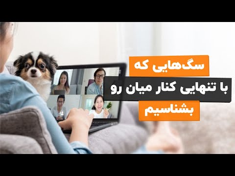 تصویری: آیا به غذای مخصوص سگ نژاد نیاز دارم؟