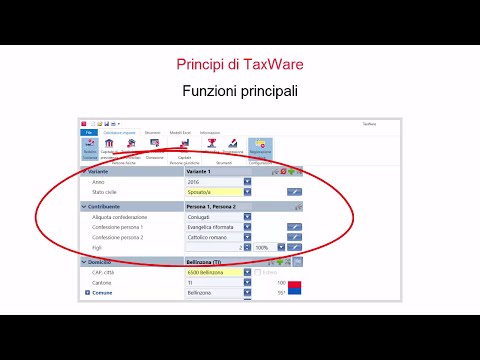 TaxWare - Principi, funzioni principali