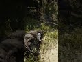 Arthur’s Survival Skills in RDR2 P1491 😳 #shorts