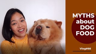 Myths and Facts about DOG FOOD | Chowchow Edition | Vlog#66