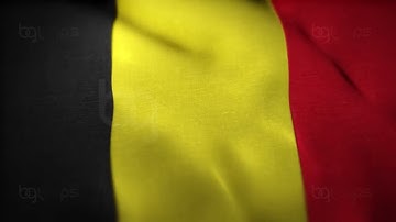 Belgium Flag - Realistic - Waving Flag - Full HD - 1080 - Seamless Loop