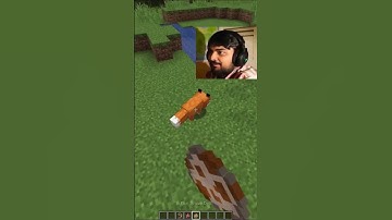 “When a Chicken Becomes the Final Boss 🐔👑💣 | Minecraft Funny Moments”#shorts#viral#trending#gaming