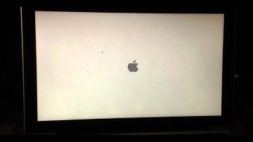 Video Of Mountain Lion Problem