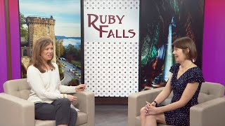 3 Plus Your Community- Ruby Falls