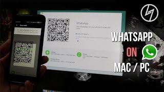 WhatsApp on MacOS | CreatorShed