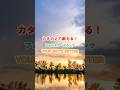【リクエスト曲】Forrest Frank / YOUR WAY'S BETTER #カタカナで歌える洋楽