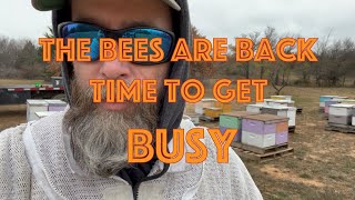 The Bees are Back! Mostly! Winter Solstice Passes Game on for Commercial Beekeeping. Ready Set Go!