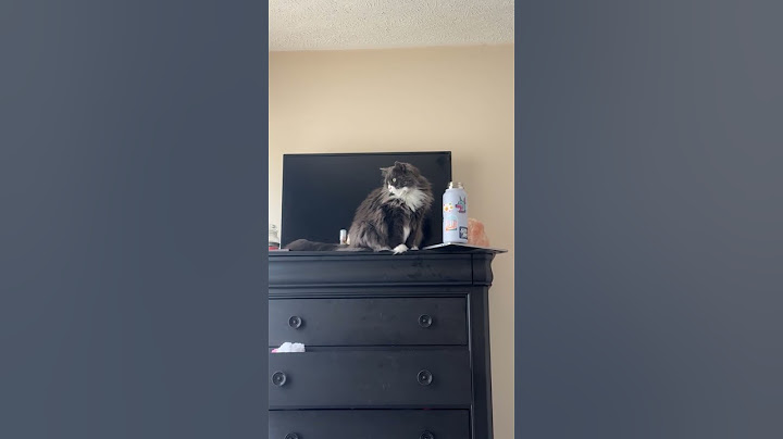 Why are they like this?