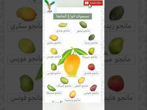 أنواع المانجو صحة أطعمة فوائد معلومات