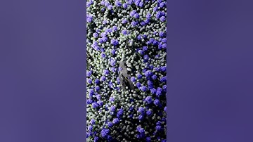 3D Motion Design - X-Particles simulation