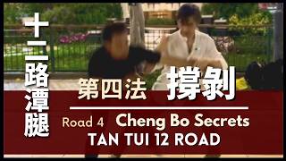 Tan Tui 12 RoadRoad 4 Cheng Bo Secrets 十二路潭腿 第四法 撐剝