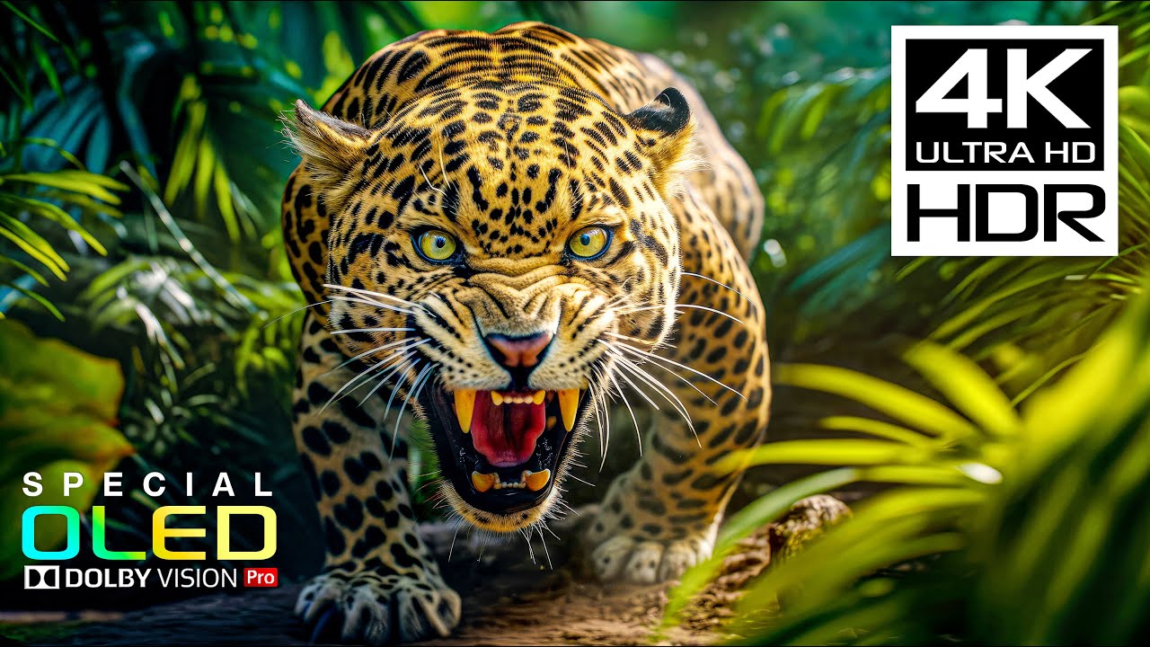 Incredible 4K HDR Dolby Vision | 4K Nature Videos with Peaceful Music