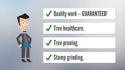 tree surgeon Rochester NY
