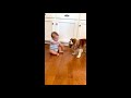 Dog Licking Baby S Adorable Face As He Smiles And Demands More 