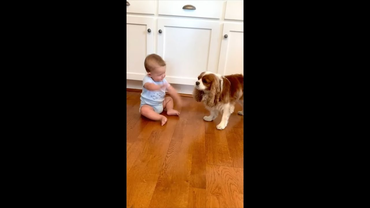 Dog Licking Baby’s Adorable Face as He Smiles and Demands More YouTube