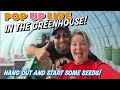 PLANT SOME SEEDS WITH US!! family compound tiny house homesteading cabin build DIY HOW TO cabin