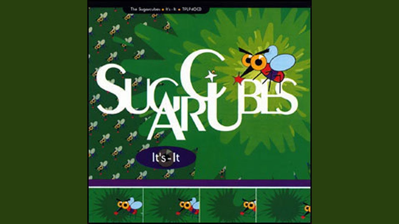 Birthday ("Justin Robertson 12"" Mix")