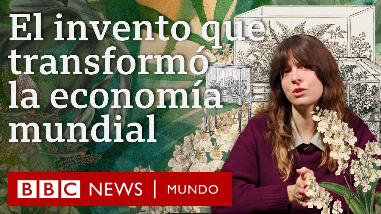 Cómo las ingeniosas cajas de Ward transformaron la economía mundial | BBC Mundo