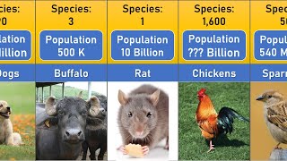 Animal Population In The World 2023 Exact Data