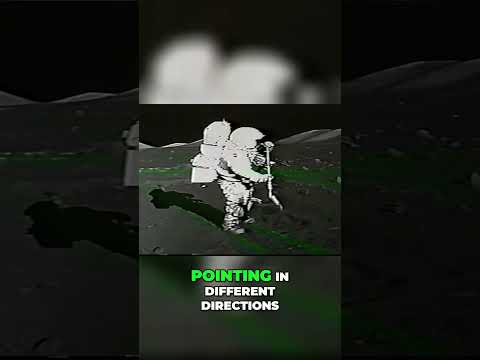 Unraveling the Apollo