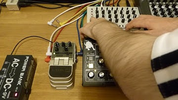 MFB Tanzmaus, Moog Minitaur & Line6 Verbzilla