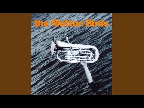 Nature - The Mutton Birds