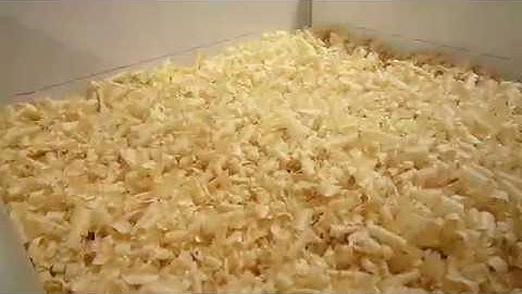 Videoabstract Biedermann WSE 2019 Lund