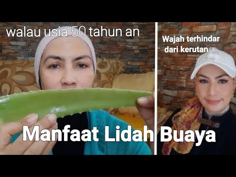 Video: 3 Cara Melengkapkan Rambut Anda Dengan Aloe Vera