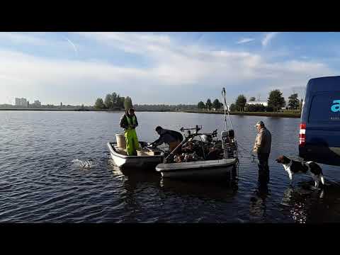 Het leeg vissen Surfplas Krimpen aan den IJssel