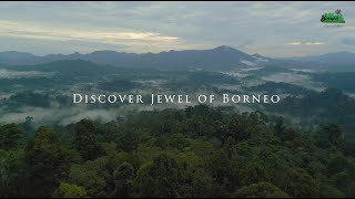 Discover Jewel of Borneo  Borneo Rainforest Lodge at Danum Valley, Malaysian Borneo