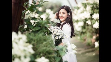 ĐÔNG CÚC HỌA MI - CAO TÙNG ANH