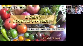 【農学部】濱渦康範教授（青果物機能学研究室）2021オープンラボ動画