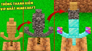 Minecraft, Nhưng Noob Trồng Được Thanh Kiếm Vip Nhất! T Gaming Có Kim Cương Vô Hạn Nhờ Thanh Kiếm ?