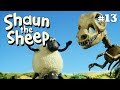 Fossils | Shaun the Sheep Season 3 | Full Episode