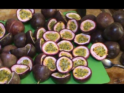 Видео: Processing Passionfruit for the Freezer & Making a Passionfruit Drink.