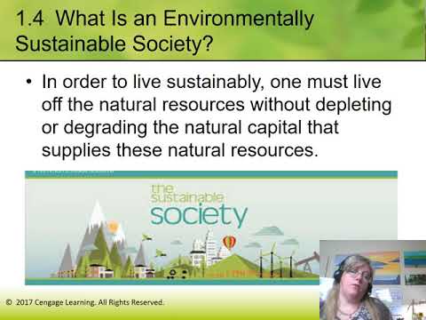 What is a environmentally sustainable society?
