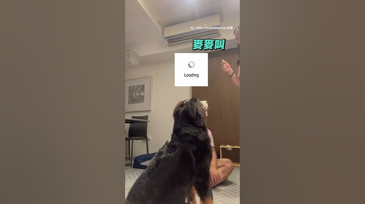 爸爸身教狗狗示範聽指令 3次馬上學會！#伯恩山犬｜#寵物雲 #shorts
