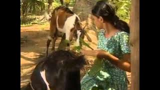 Enneolam Enne Nadathi [HD] [ with Lyrics-Subtitle].mp4