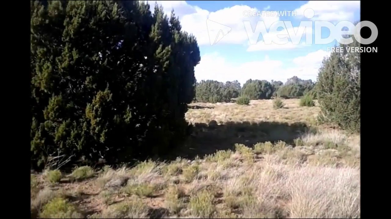 Land for Sale in Arizona Cheap 1 acre parcels YouTube