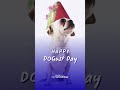 Happy DOGust Day