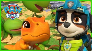 Pups Save A Baby T-Rex! - Paw Patrol Episode - Cartoons For Kids