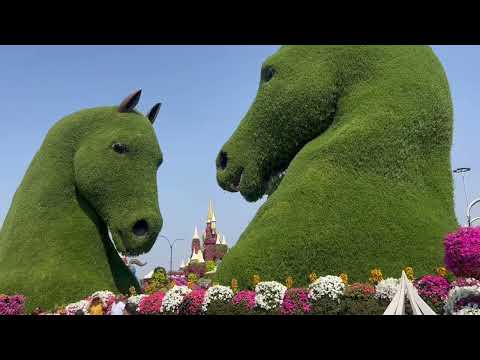 Dubai Miracle Garden 2023 | Dubai UAE