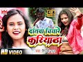 VIDEO द तव च य र कर य ठ Shilpi Raj Dantawa Chiyare Kariyatha Shilpi Raj Ka Gaana 