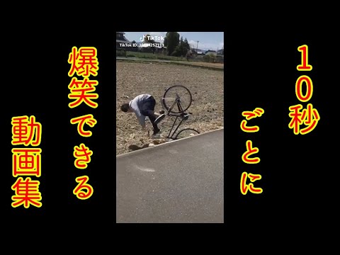 Tiktok 10秒ごとに爆笑できる短いネタ動画集 今週のバズり動画 Youtube Tiktok 10秒ごとに爆笑できる短いネタ動画集 今週のバズり動画 Youtube