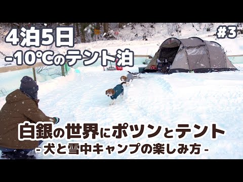 【雪中キャンプ】マイナス10℃のテント泊！？犬と雪中キャンプの楽しみ方 ～ 4泊5日年越し雪中キャンプ #3 -犬連れ夫婦キャンプ-