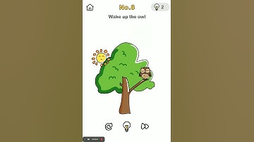 | Brain Out | No.8 | Wake up the owl |