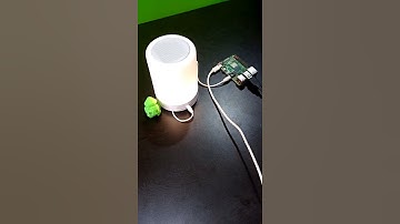 Make Alexa at home Using Raspberry Pi 4