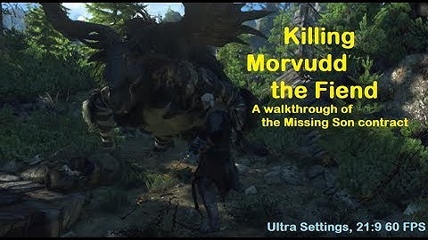 Contract: Missing Son | Witcher 3 Fiend Boss Fight