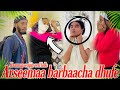 Arseemaa Barbaacha Dhufe Haannaa Wajjin Wal Lolle ArsemaDire